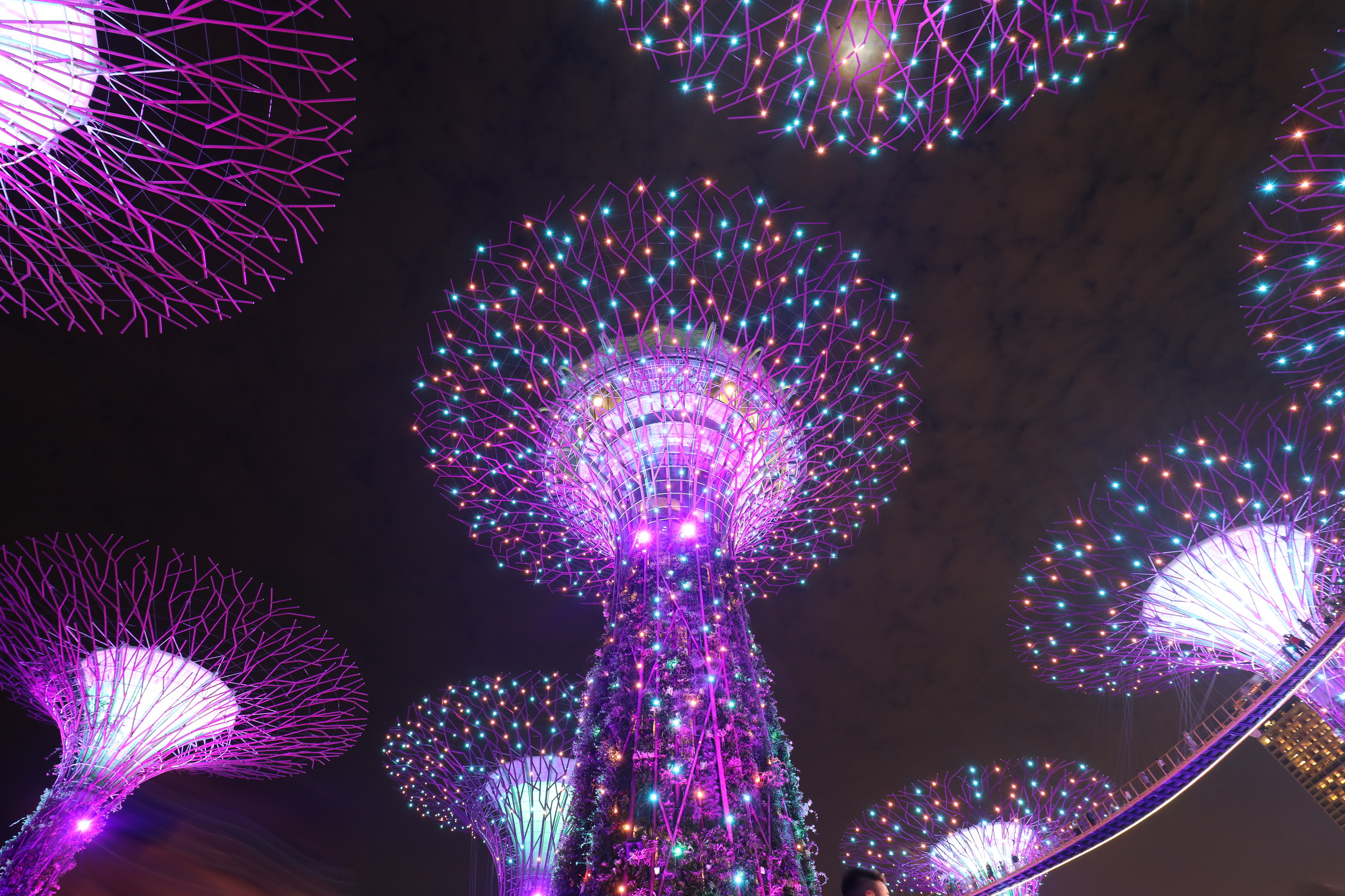 Supertree Grove Lightshow @ Gardens by the Bay